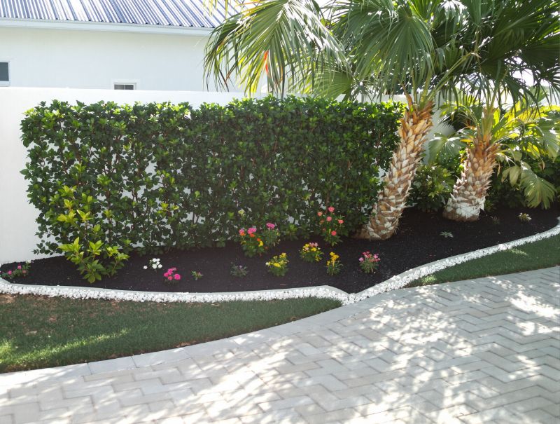 Finished planting bed with hedge, palms and flowering border